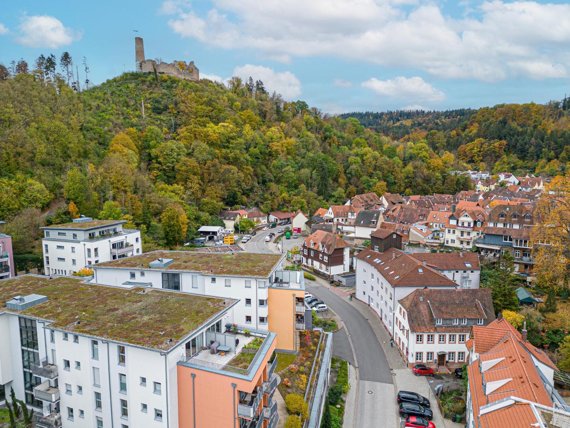 Lit Living Weinheim Altstadt - Boutique Apartments - Parking מראה חיצוני תמונה
